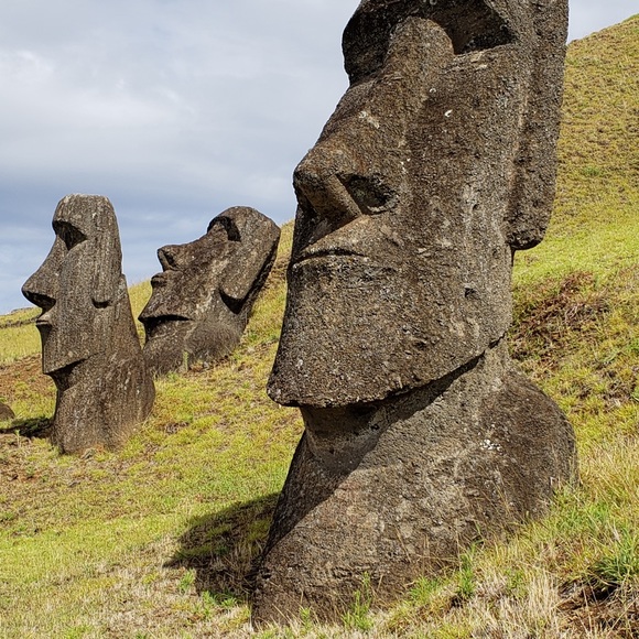 Meet your Posher, Rhonda - Picture 1 of 1